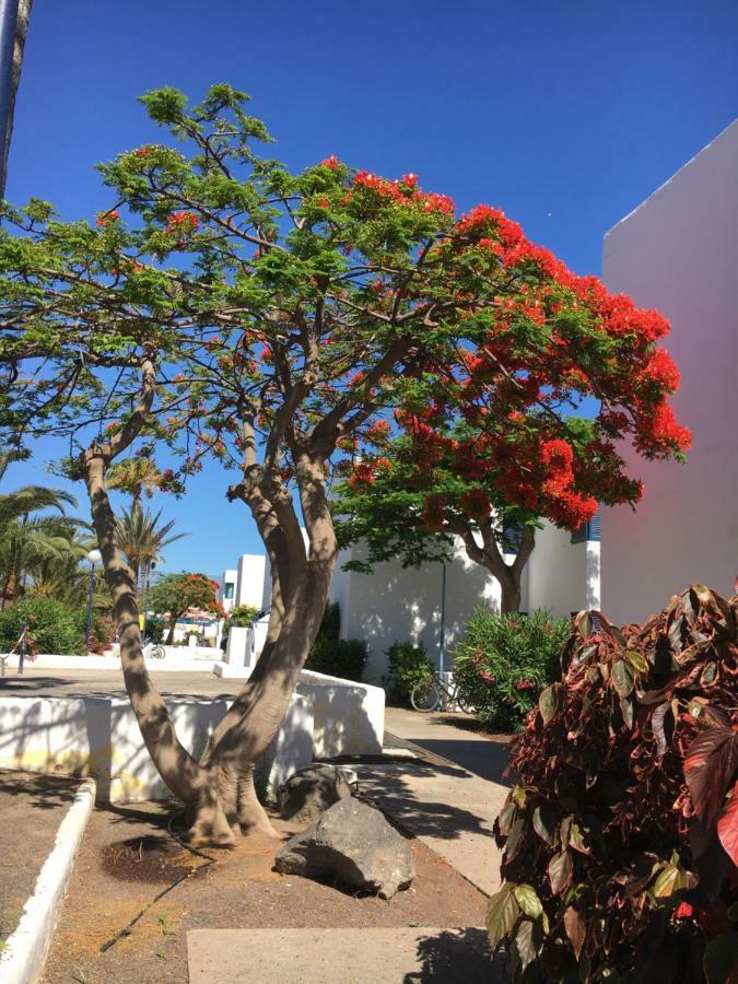 Los Barqueros Corralejo "Beach Front - Town Centre"公寓 外观 照片